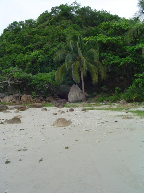 DSC01695.JPG